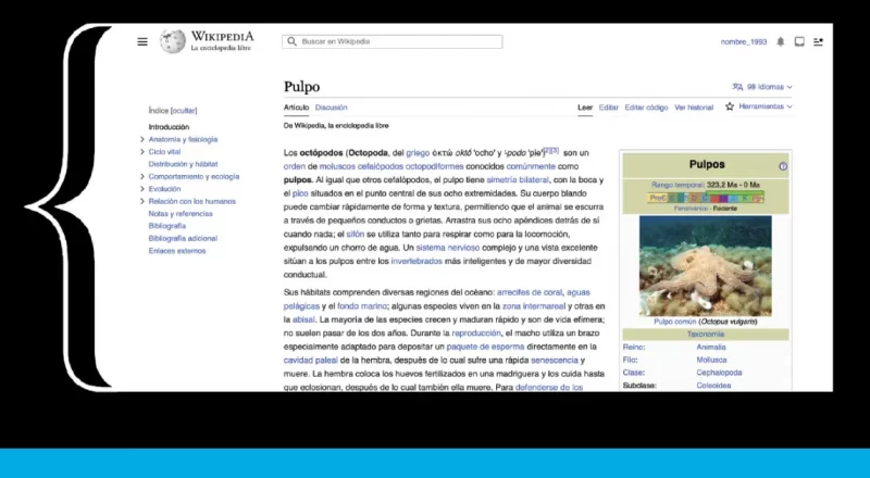 Wikipedia Interfaz