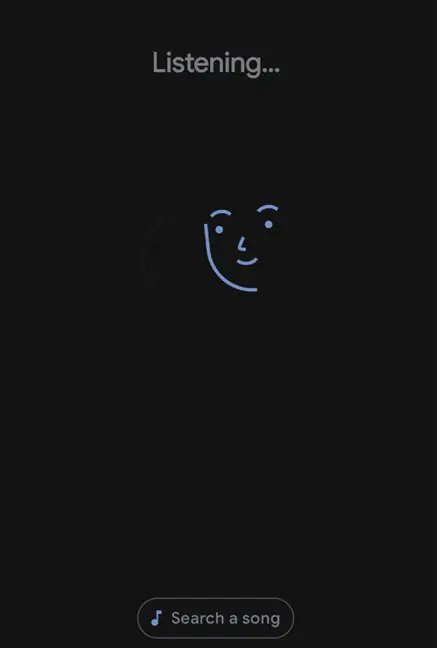 Buscar cancion con Google